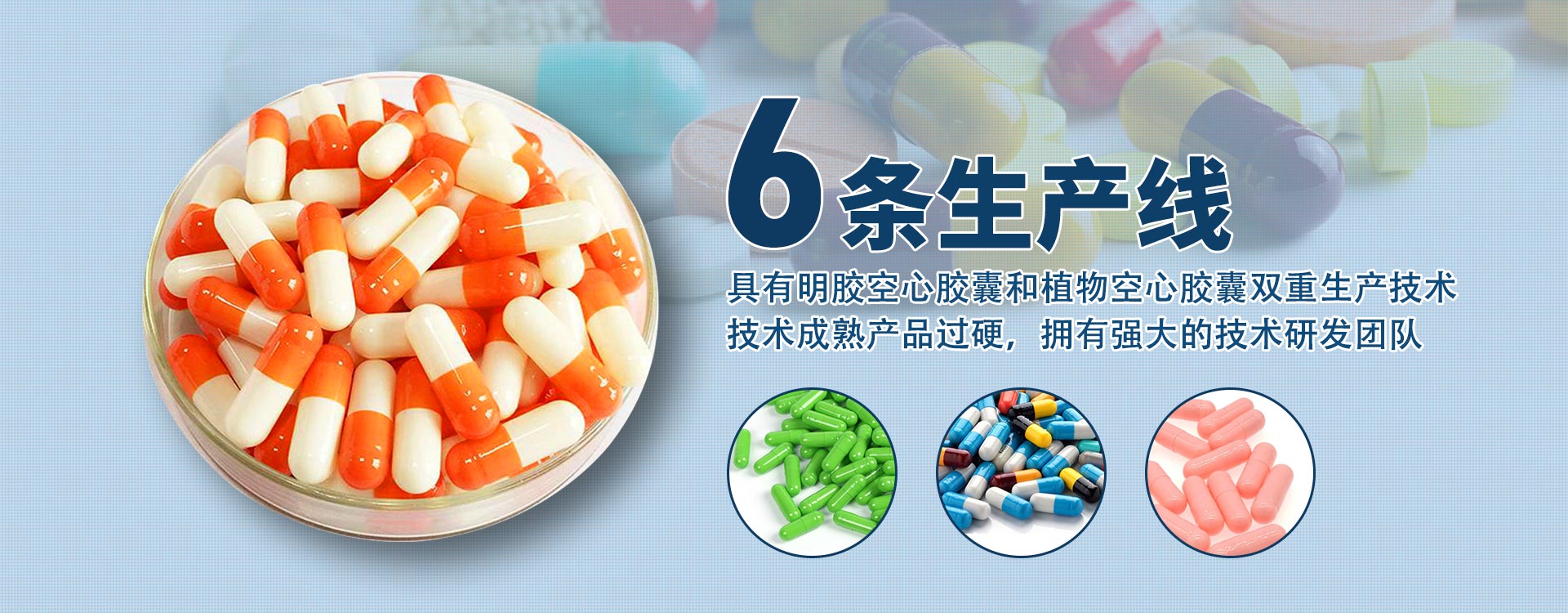 Shijiazhuang Huajia Medicinal Capsule Co., Ltd.